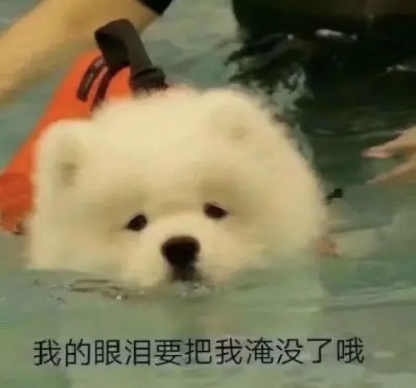 微信沙雕表情包谢谢你是个好人