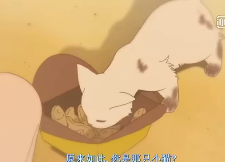 猫的报恩猫王子的心上人是谁