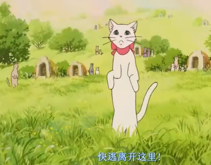 《猫的报恩》猫王子的心上人是谁?