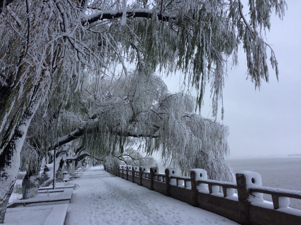 北国冬天松花江畔迷人雪景