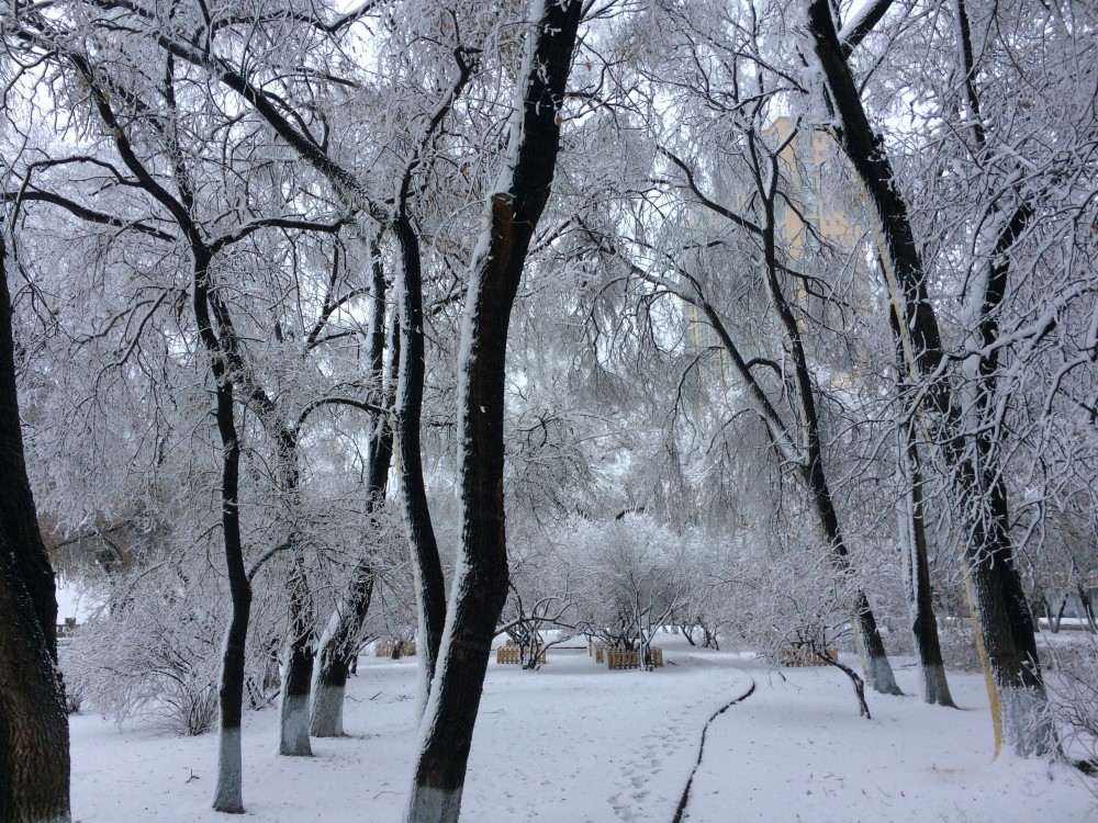 北国冬天松花江畔迷人雪景