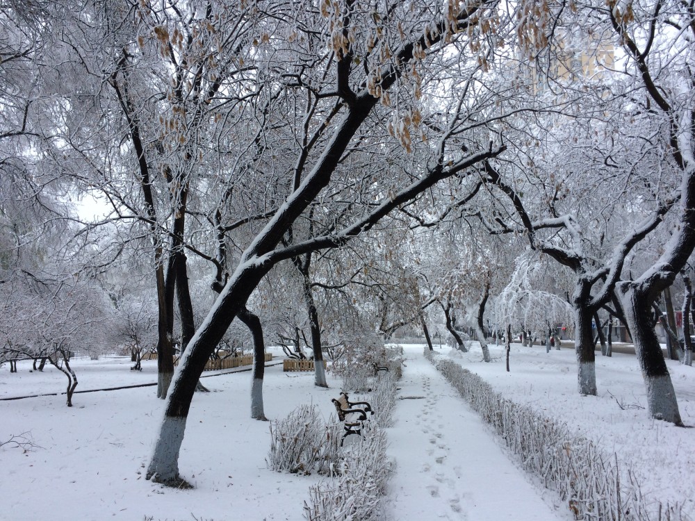 北国冬天松花江畔迷人雪景