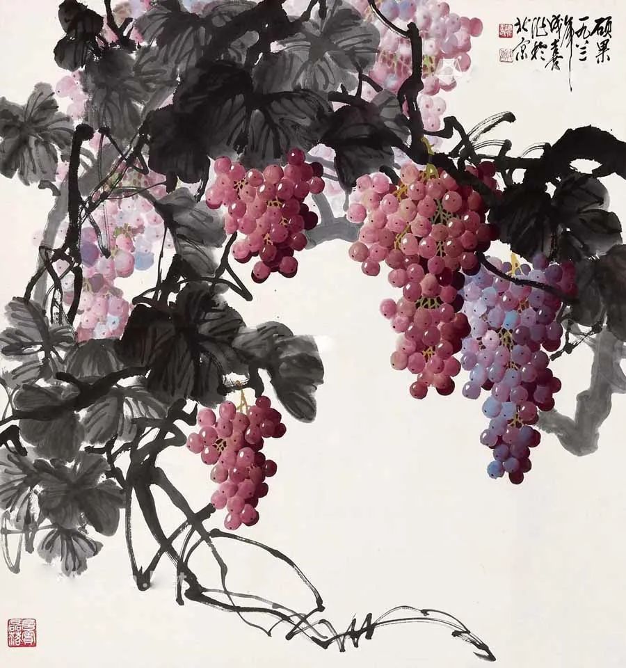 朔风吹尽珠蕾裂 ,不 王成喜不但梅花画得好,其笔下的葡萄也玲珑玉透