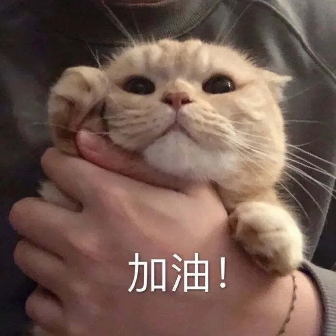 表情包一个大的抱抱