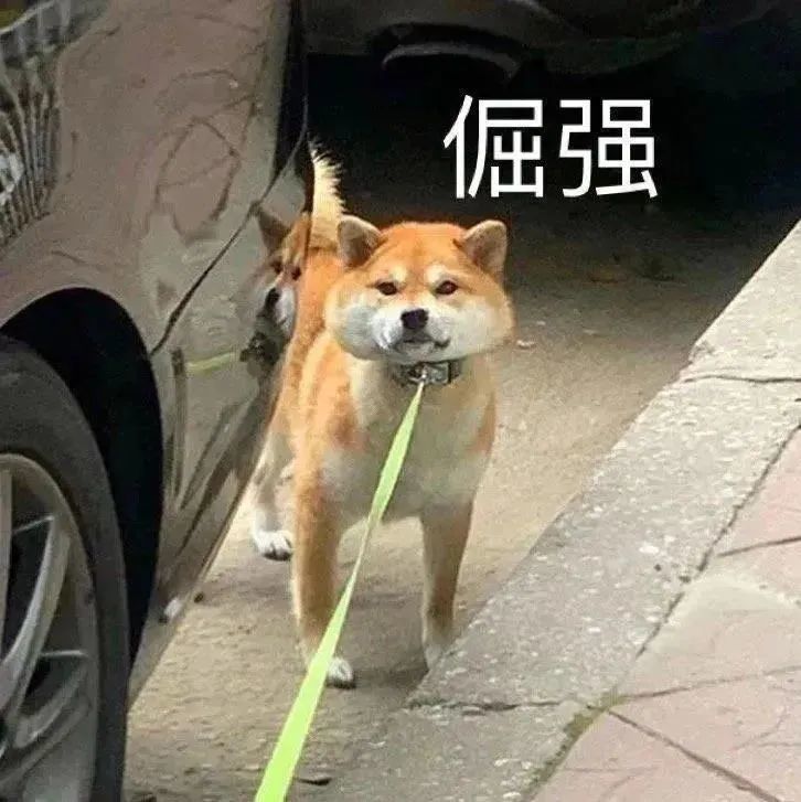 抖音表情包1109