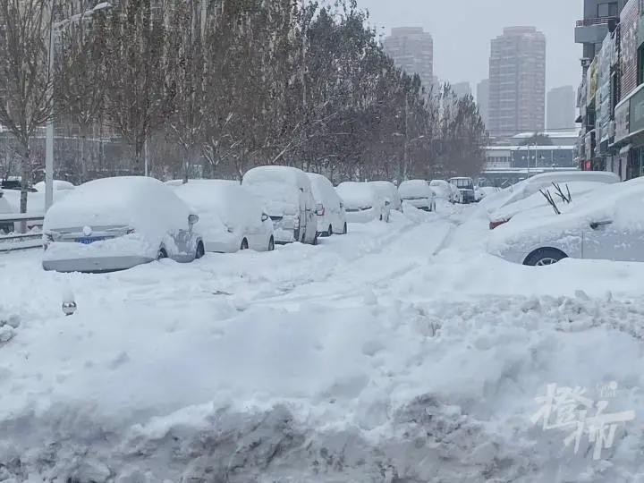 橙柿连线当地居民:沈阳街头积雪近半米;内蒙古通辽房屋被雪掩埋,可能