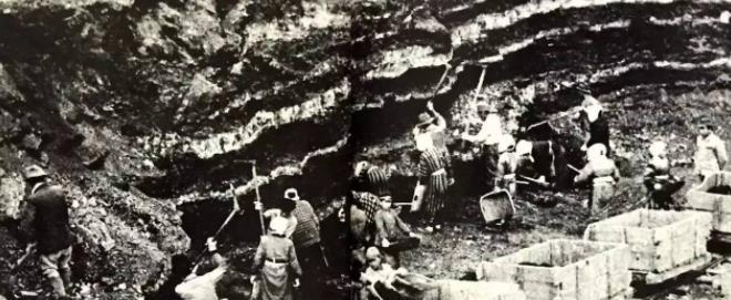山西发现6万具尸骨,死者平均年龄只有32岁,幸存者讲出