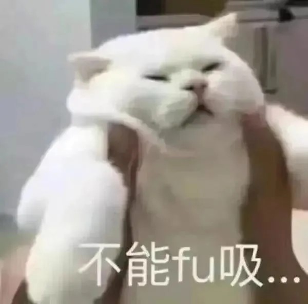 日常聊天猫猫表情包因为太笨被丢掉了