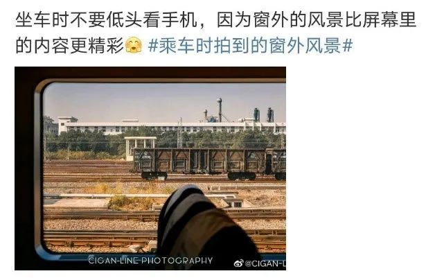 坐车的时候我们为什么这么喜欢看窗外