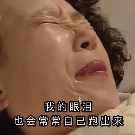 表情包罗文姬女士系列