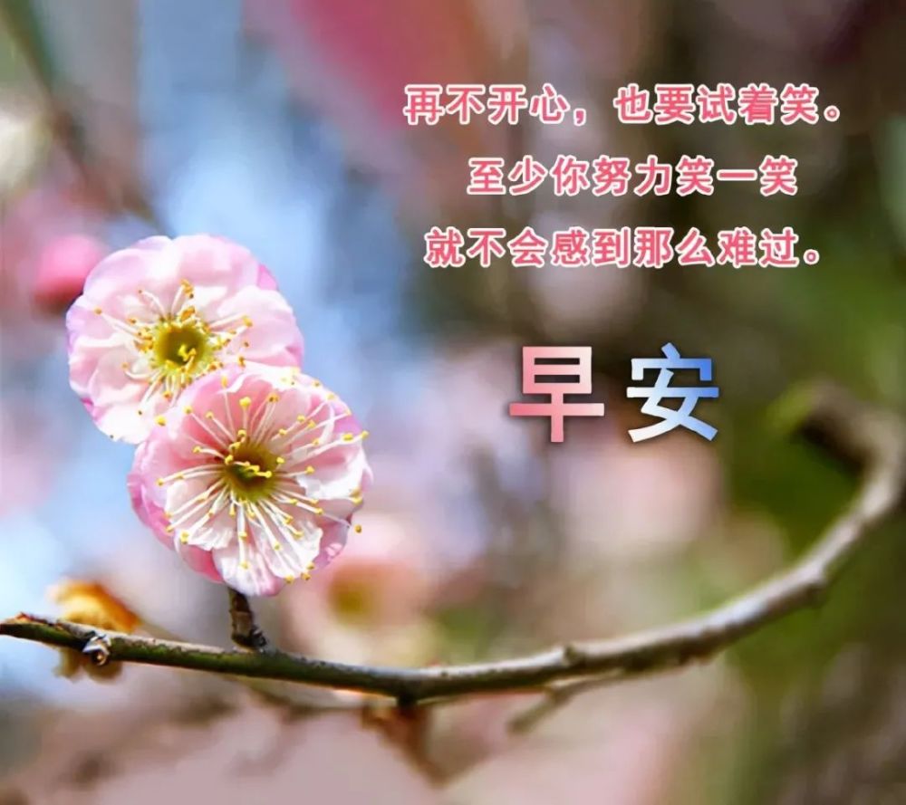 早上好问候祝福语大全早上祝福图片分享早安我的朋友