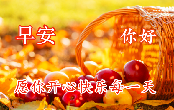 早上好唯美动态表情图片加文字很有创意的早安问候语图片大全