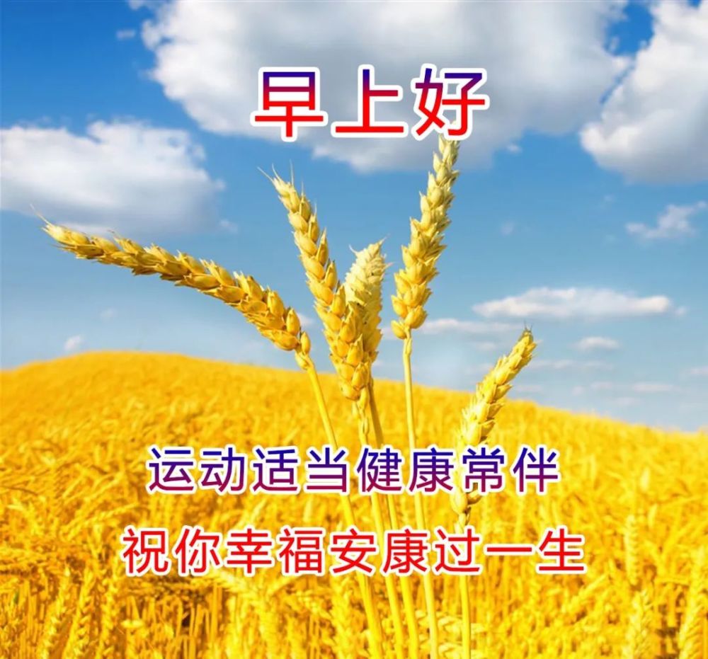 早上好唯美动态表情图片加文字很有创意的早安问候语图片大全