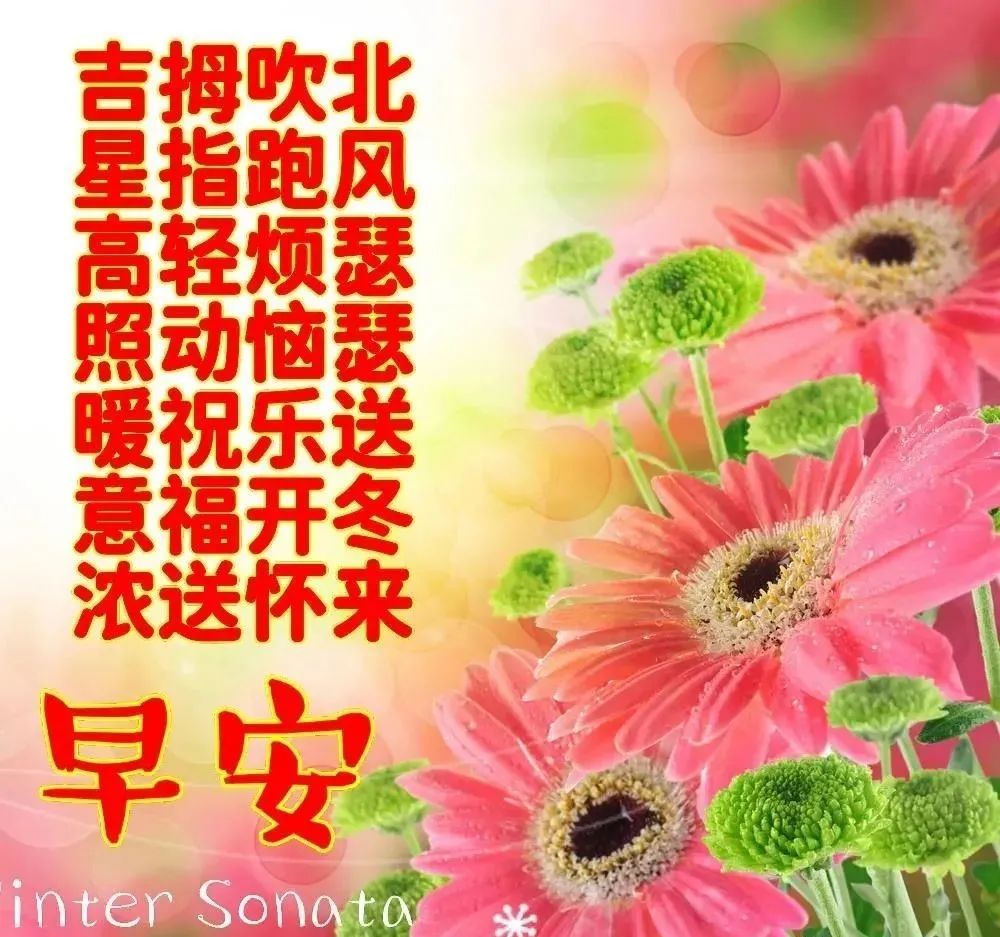 清晨问候大家早上好祝福图片带字温馨早安祝福动态图片问候语