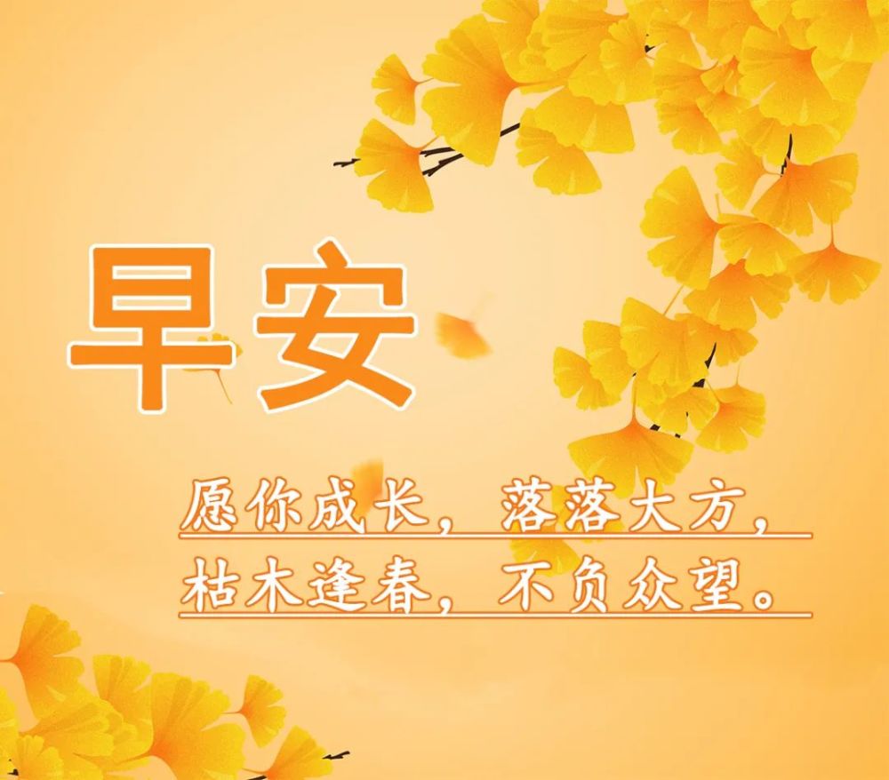收到我的短信就开心的一笑!早安!