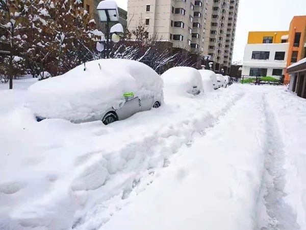 时间长 降雪量大 积雪深 阜新本轮降雪创历史记录 自降雪开始(11月6日