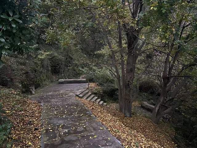 十堰市竹山县南山公园建成才1年多,时间不长.