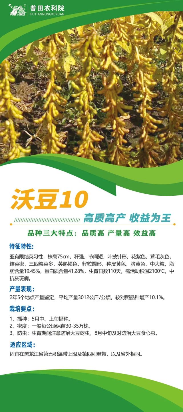 大豆系列高质高产收益为王沃豆10