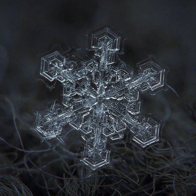 放大一百倍的雪花,好美