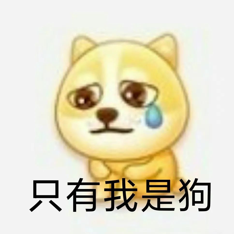 大声告诉我谁是单身冠军