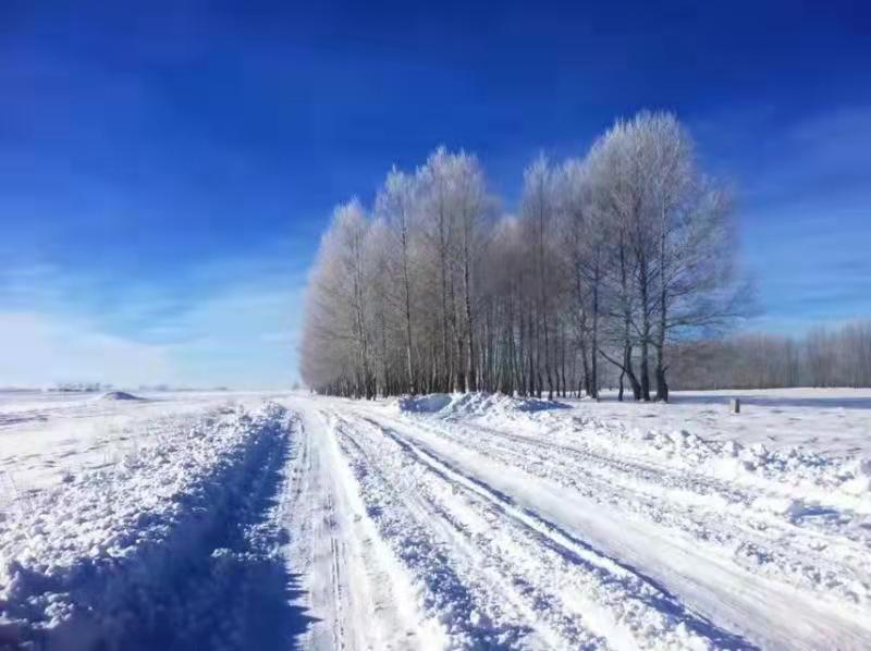 朋友们我们这里下雪了张家口塞北管理区第一场雪美的不像话