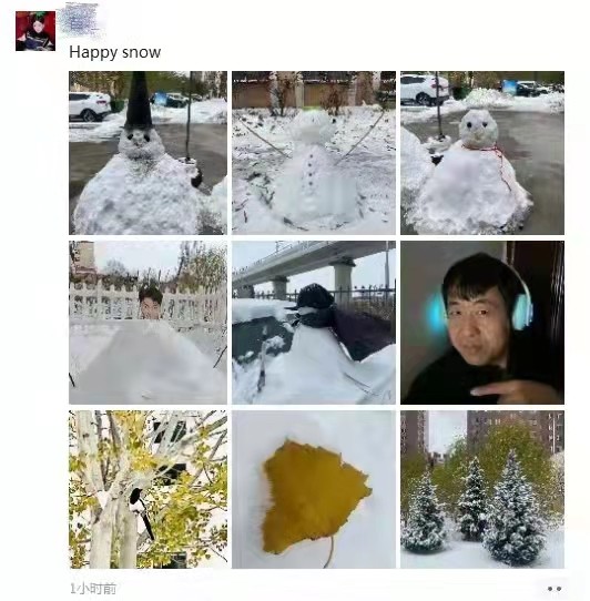 朋友们我们这里下雪了张家口塞北管理区第一场雪美的不像话