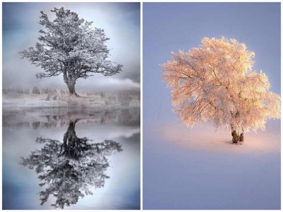 冬天的第一组雪景照片,必须美起来!这11个雪景摄影技巧能帮上你