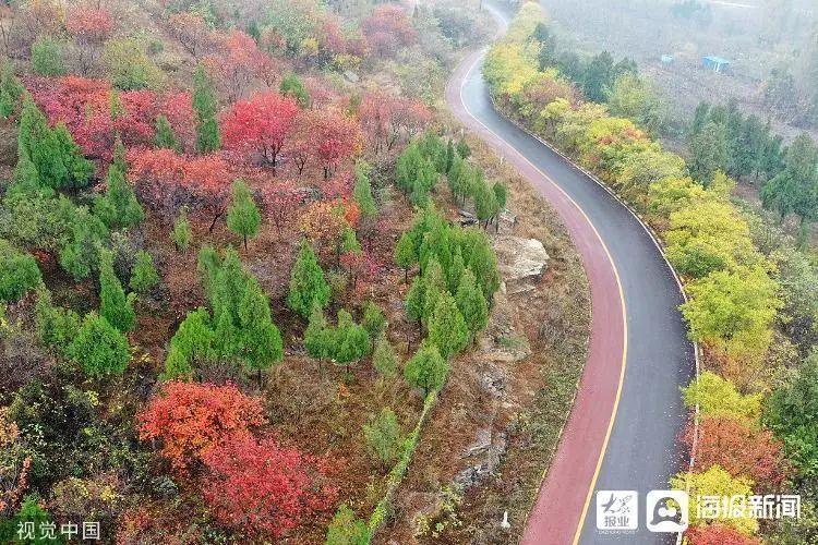 是色彩斑斓,构成了一幅美丽画卷,飘零的落叶散落在杨峪风景区的湖面上