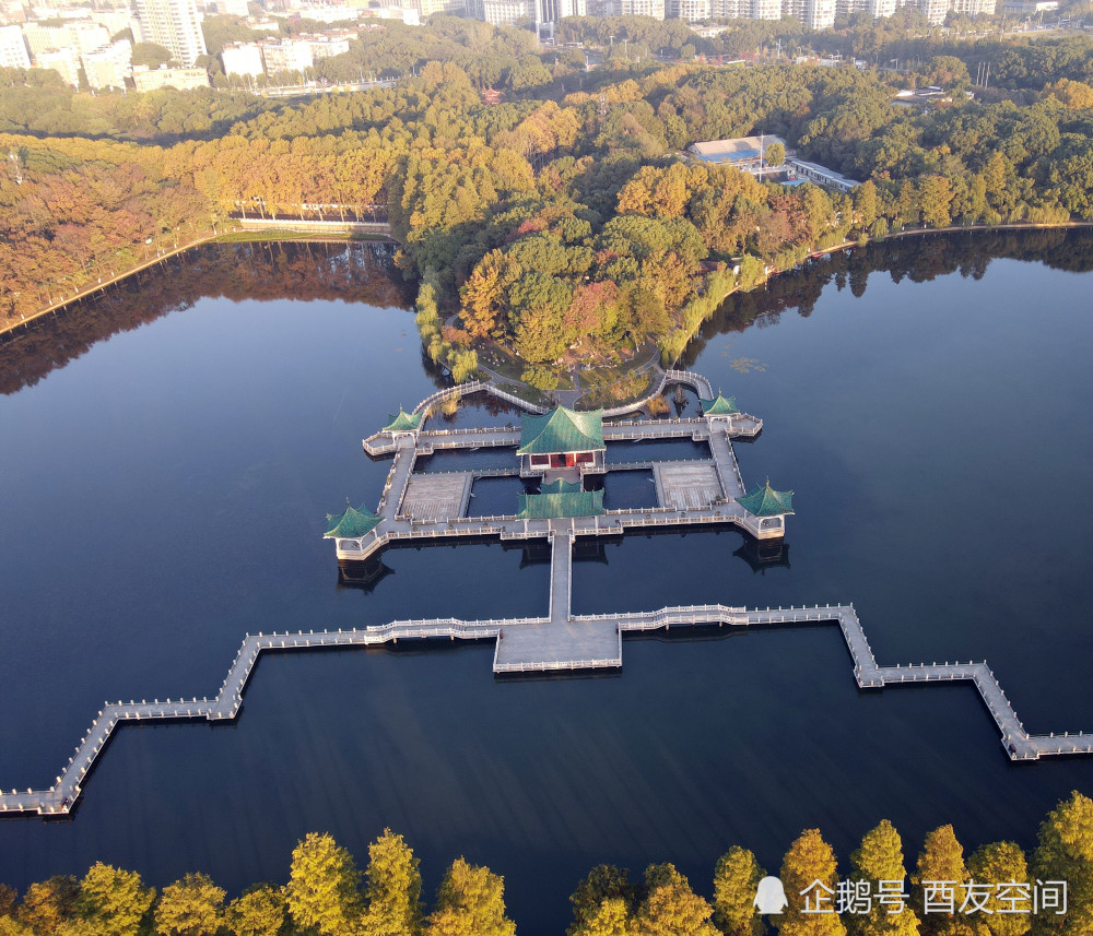 摄影武汉东湖听涛景区