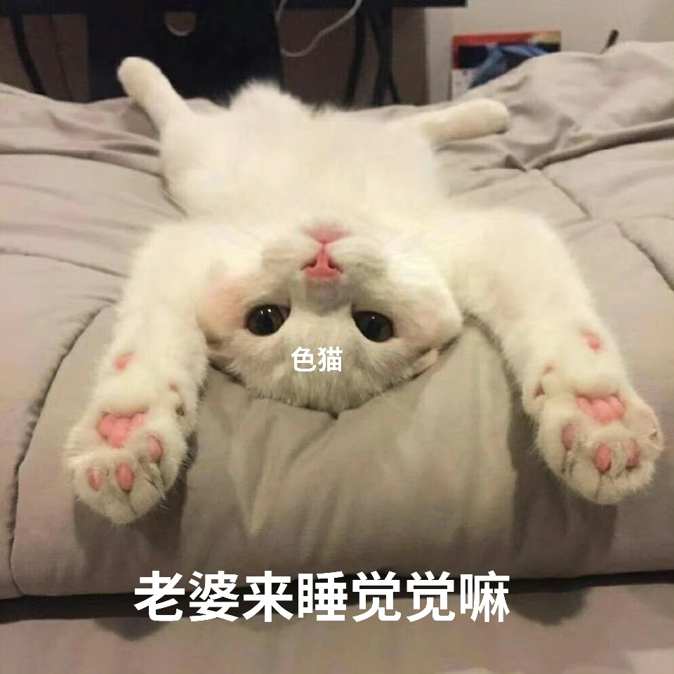 老婆表情包6老婆我错了