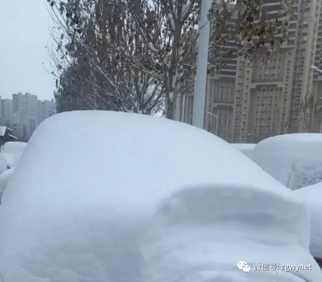 百年未遇!袭击东北的这场特大暴风雪,到底极端到了什么程度