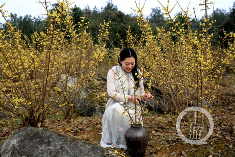 邓纪会:以花为媒