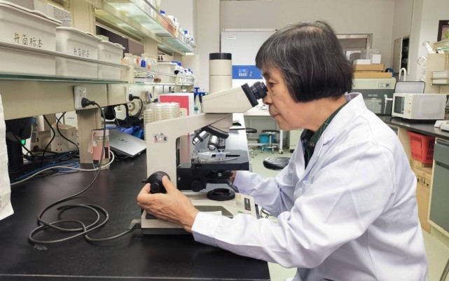 在庄文颖院士这位70岁女科学家的领导下,中国团队立了大功,开辟了中国