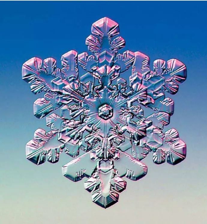 雪花慢慢飘落的每一片都是独一无二的惊喜
