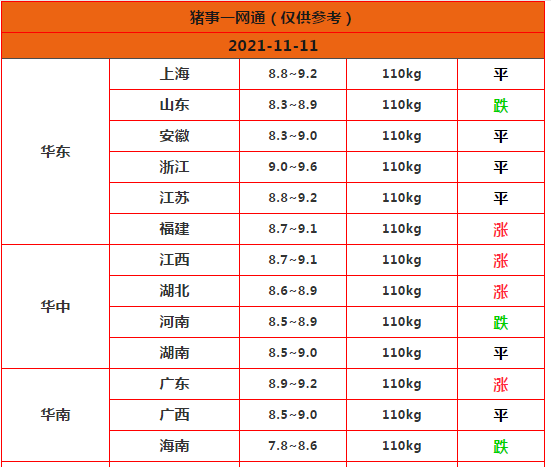 11.11明日猪价早知道