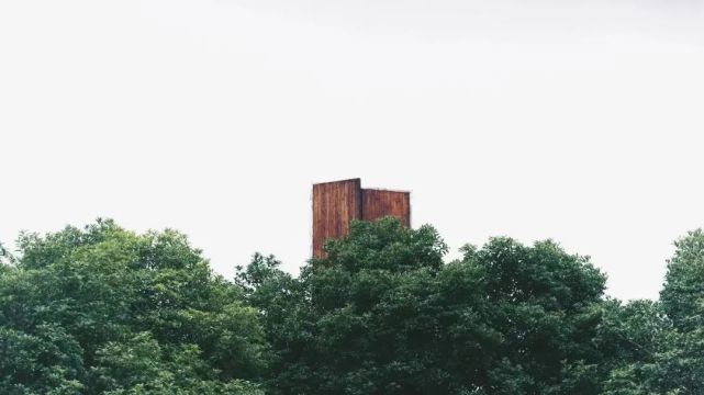 中国美"树"学院▼统 筹|庞 洋 马美妮摄 影|许鲁挺 童昕源 陈思涵