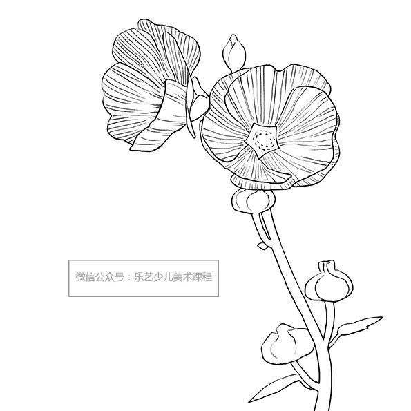 少儿美术汇|植物主题创意线描画课例,给你全新的灵感!