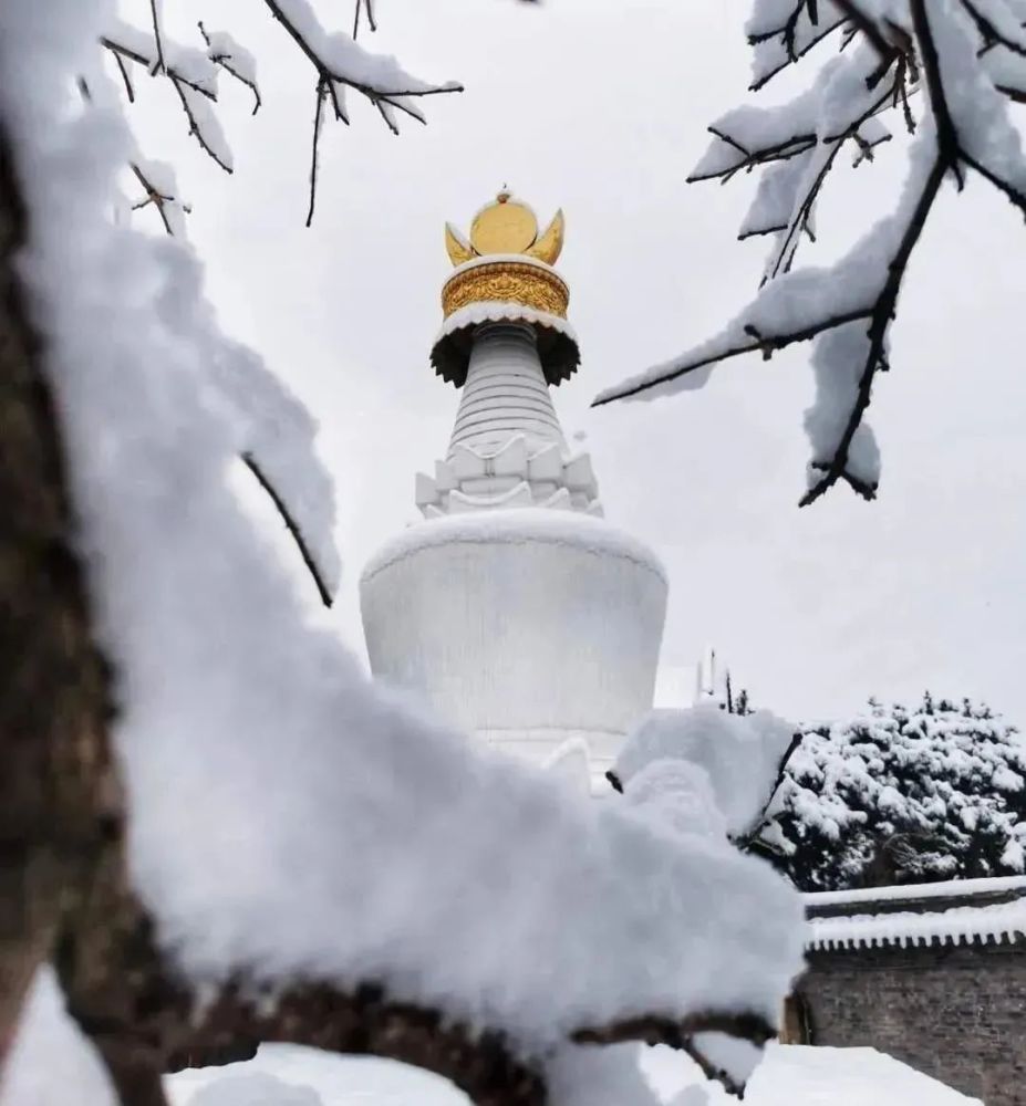 一下雪,五台山就美成了"仙境"