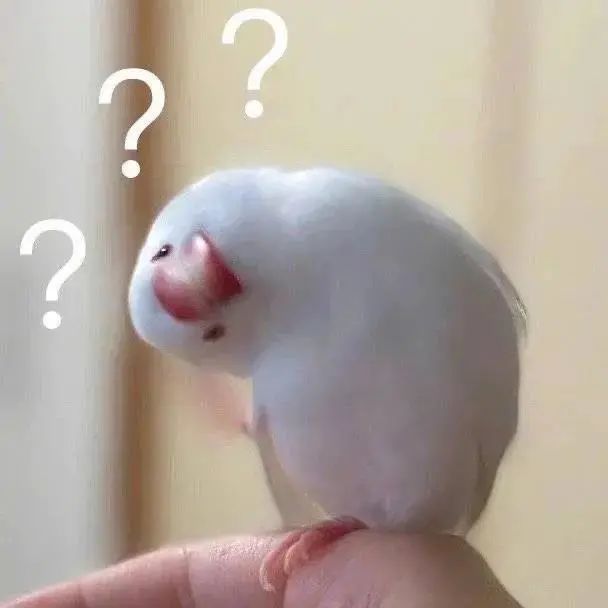 抖音热门表情包|等我 转只弯就到