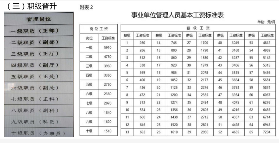 专业技术岗位分为初级,中级和高级,岗位工资从1500到6000不等,薪级共