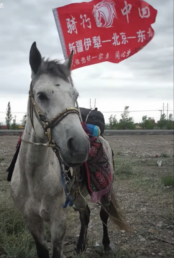 叼羊比赛盛况叼羊是当地牧民中盛行的一项传统骑马赛事,一般在节庆日