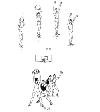 篮球教学必备技战术图解