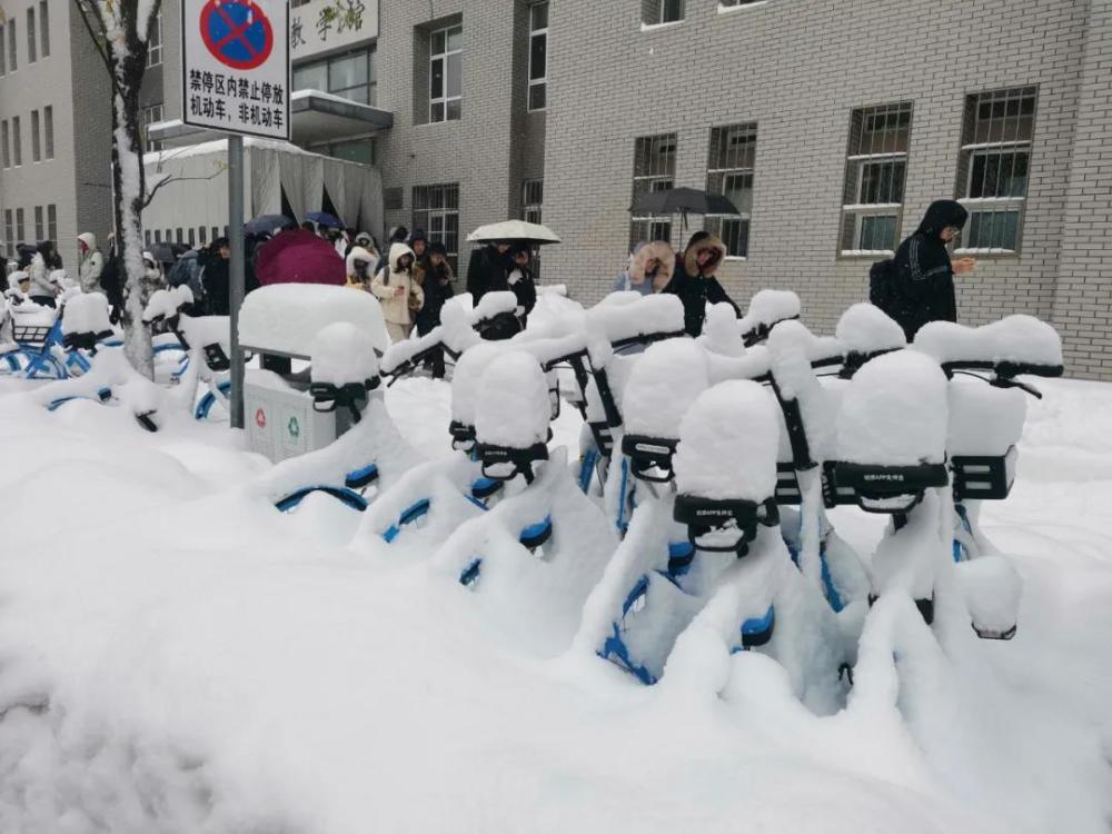 2021年第一场"雪台风"袭击东北,百年不遇的大雪,它是怎样形成?