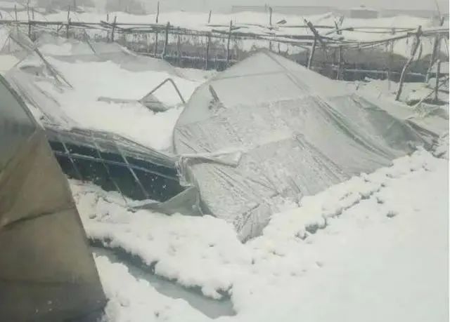 内蒙古暴雪破70年记录!大暴雪或即将结束,居民该注意什么?