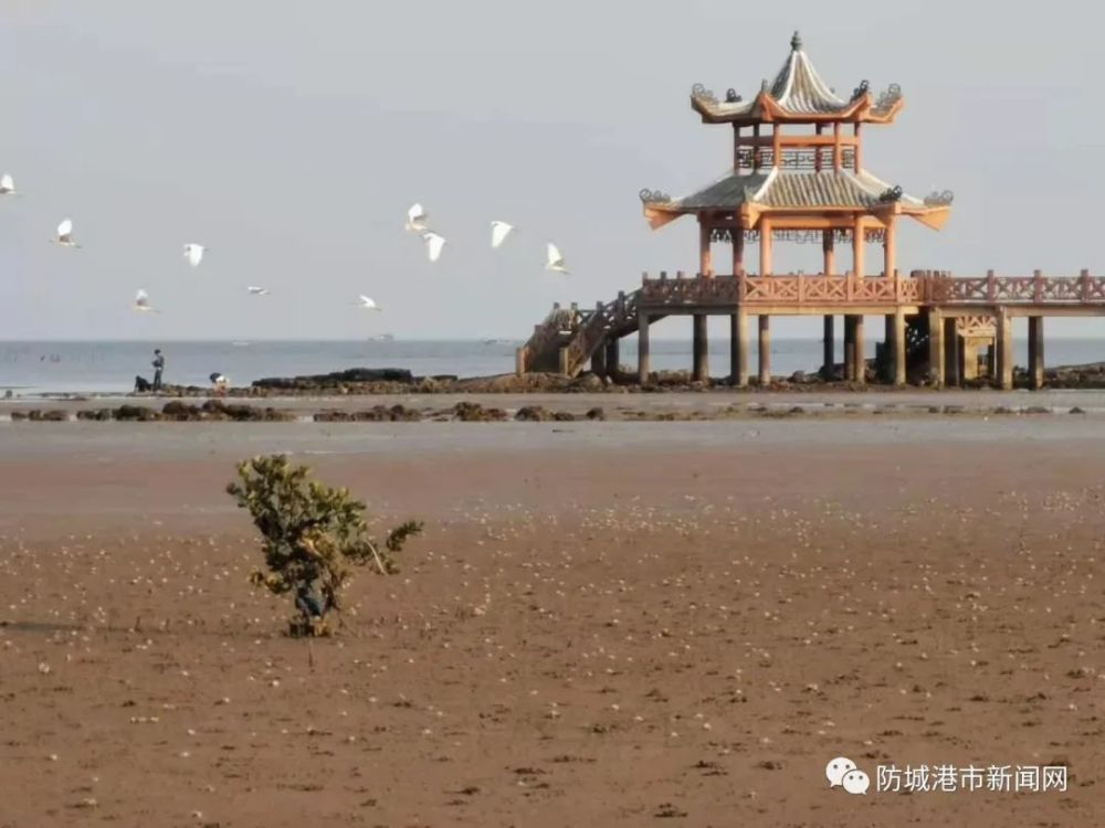 收好这份冬游攻略!防城港这些景点值得一去