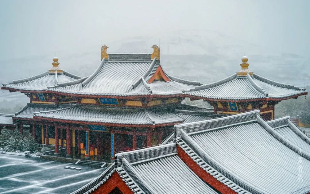 一夜梨花开各大寺院初雪合集来了