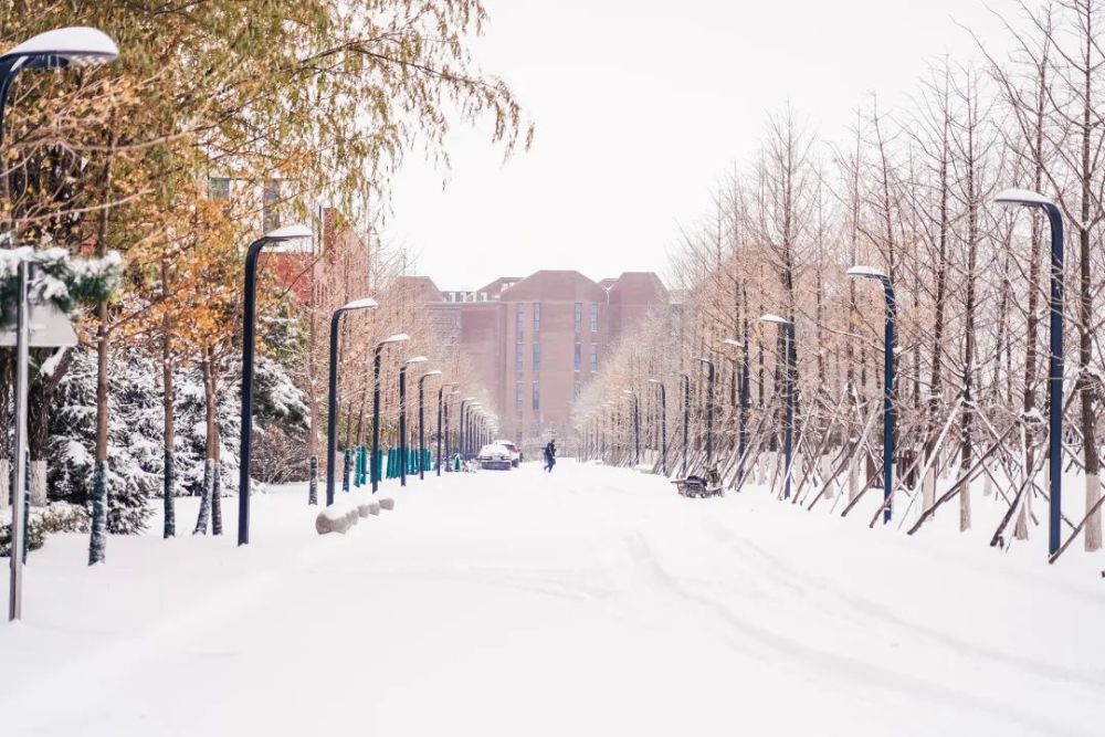 东北大学的雪景太美了!已经毕业的都羡慕坏了!