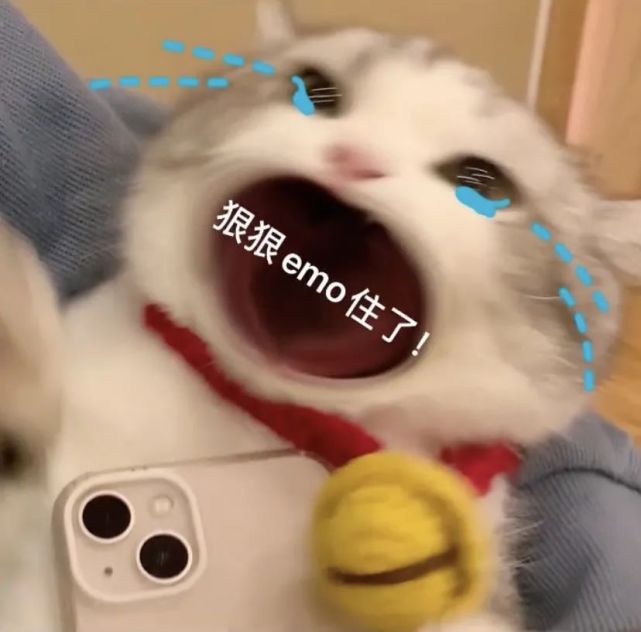 抖音发布热门表情包11月11号