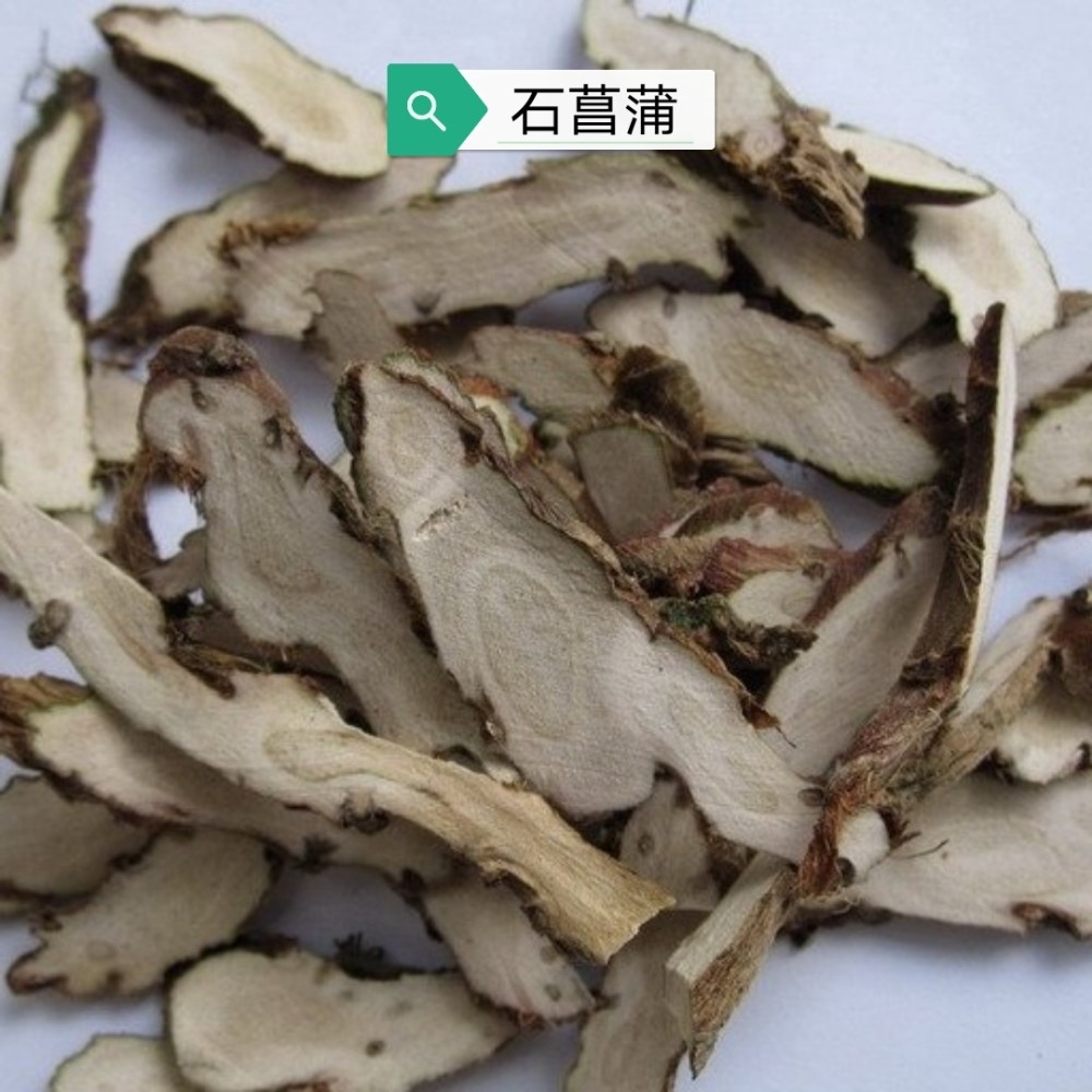 中药古今研究石菖蒲