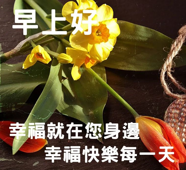 语图片清晨最温暖人心的冬季祝福语分享给朋友最温馨的早安问候句子